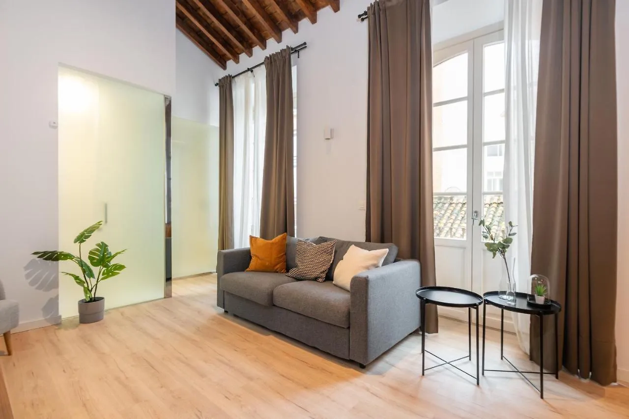 Apartamentos Malaga Centro El Conde By Renthas Španělsko